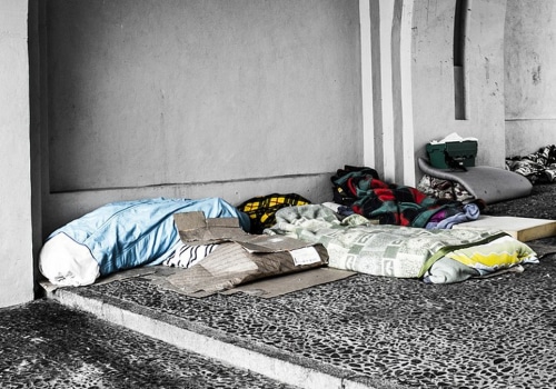 Addressing Homelessness and Poverty in Fairfax County, VA: The Role of Charitable Services